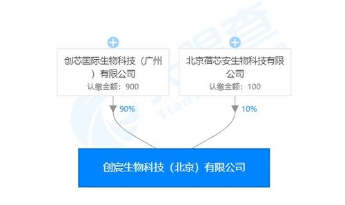 创宸生物获创芯国际战略加持，以类器官技术引领个体化医疗新纪元